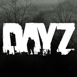 dayz server